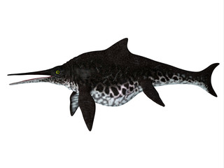 Shonisaurus Ichthyosaur Side Profile - Shonisaurus popularis was an Ichthyosaur that lived in the seas of North America during the Triassic Period.