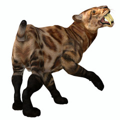 Obraz premium Smilodon Cat Tail - The Saber-toothed Cat was a primary predator in North America during the Pleistocene and Eocene Periods.