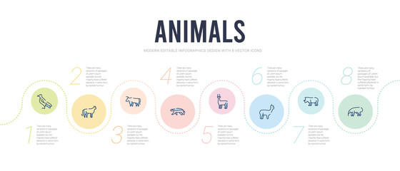 animals concept infographic design template. included anteater, rhinoceros, alpaca, antelope, badger, bull icons