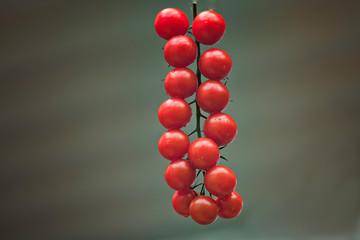 Bunch of fresh cherry tomatoes on neutral background.