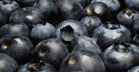 close up of blueberries