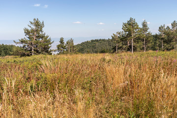 Autumn landscape of Vitosha Mountain, Bulgaria