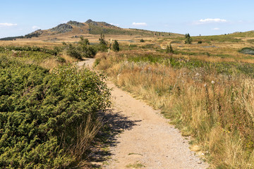 Autumn landscape of Vitosha Mountain, Bulgaria
