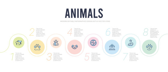 animals concept infographic design template. included pawprint, animal testing, dog house, hunt, animal, insect icons