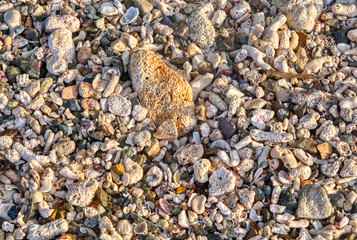Public Beach near Red Hook, US virgin Islands