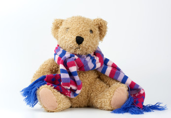 cute brown teddy bear in a colored knitted scarf sitting on a white background