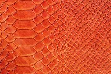Texture of genuine rough leather close-up, imitation of the skin of scaly exotic reptile, fashion...