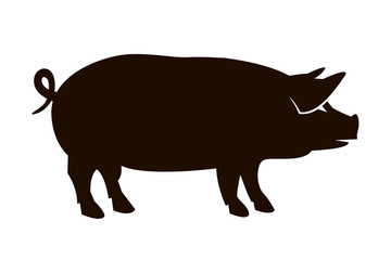 monochrome illustration with silhouette of pig isolated on white background