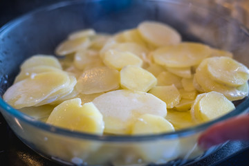 Fototapeta na wymiar gratin dauphinois with its potatoes, its cream and its condiments