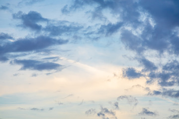 shoreline on bainbridge island with glow from the setting sun
