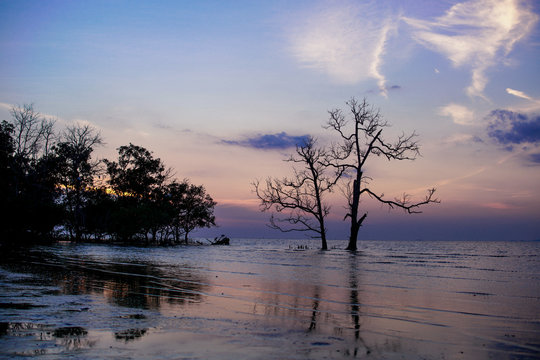 Views On The Muar River, Johor, Malaysia