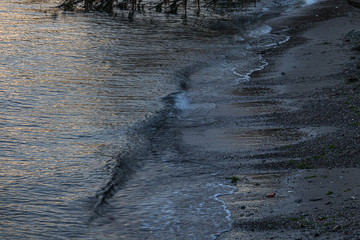 shoreline on bainbridge island with glow from the setting sun