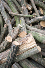 Close up shot of wood logs