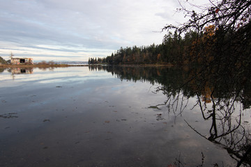shoreline on bainbridge island with glow from the setting sun