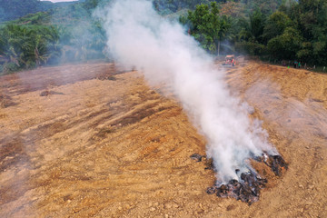 Rain forest land burned to make way for palm oil plantations. Deforestation environmental problem