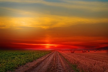 sunset over road in field