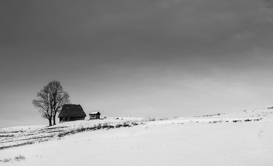 Traditional houses in Dumesti village, Apuseni Mountains, Transylvania region, Romania, in winter, black and white photo