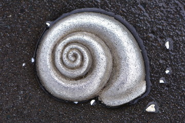 Detail of cast alloy snail shell on wet dark footpath surface.