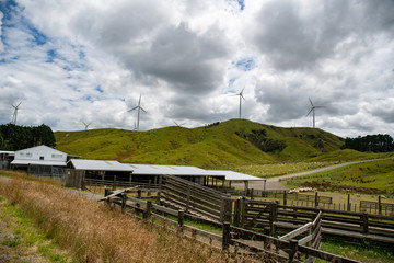 Fototapeta na wymiar Rural agricultural view of a sheep farm and its sheep and cattle yards on the hills and valleys with electricity generating wind turbines on the peaks
