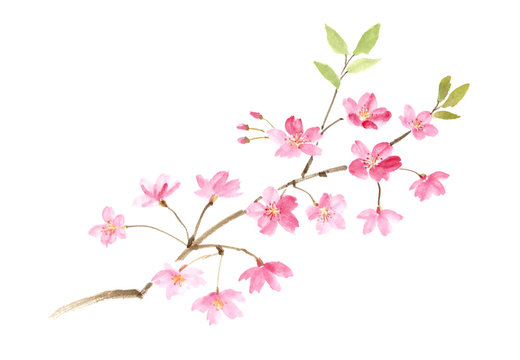 彩墨画」の写真素材 | 426件の無料イラスト画像 | Adobe Stock