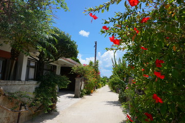 the traditional landscape of taketomi island, JAPAN