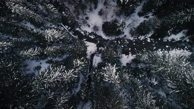 Moody Overhead Aerial of Snowy Forest Wilderness with Cold Flowing River