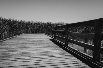 wooden bridge over the river
