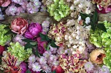Flower wall in bloom