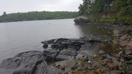 Lake of the Woods