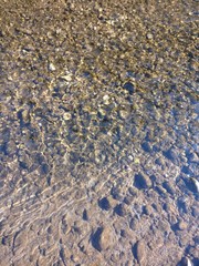 pebbles on the beach