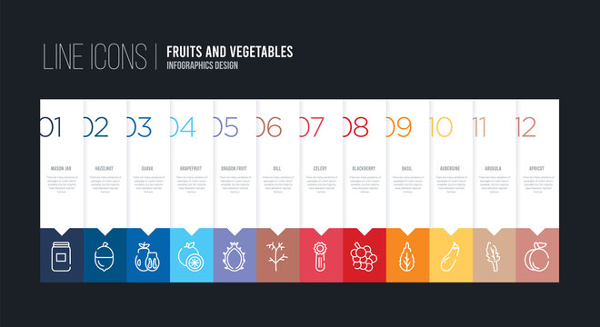 infographic design with 12 options. stroke line icons such as dill, dragon fruit, grapefruit, guava, hazelnut, mason jar can be use for web and mobile
