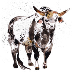 Watercolor bull with black spots