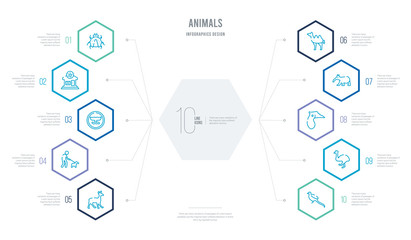 animals concept business infographic design with 10 hexagon options. outline icons such as pheasant, cassowary, hornbill, tapir, camel facing left, walking dog