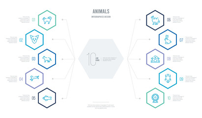 animals concept business infographic design with 10 hexagon options. outline icons such as hamster ball, louse, kennel, sitting rabbit, humps, leopard