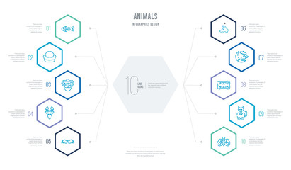 animals concept business infographic design with 10 hexagon options. outline icons such as buttefly, black cat, monster mouth, moon and bats, boxerhead, hunted