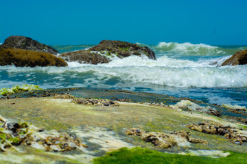 Paisagem de Praias Litoral parana