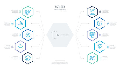 ecology concept business infographic design with 10 hexagon options. outline icons such as plant on a hand, tree with many leaves, solar energy, two leaves, plant a tree, apple and books