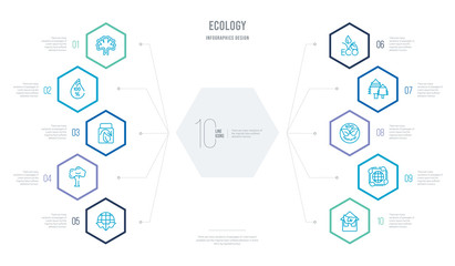 ecology concept business infographic design with 10 hexagon options. outline icons such as eco house, recycle arrows, 100 percent natural, christmas trees, eco e, tree of circular foliage