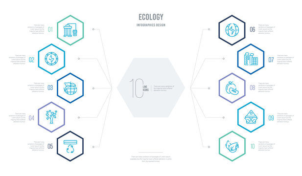 ecology concept business infographic design with 10 hexagon options. outline icons such as reload arrows, ecological house, half apple, recycling factory, eco energy power, tree with hearts