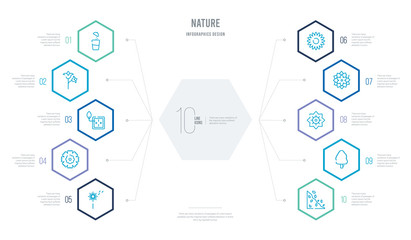 nature concept business infographic design with 10 hexagon options. outline icons such as cliff, cypress, daffodil, dahlia, daisy, dianthus
