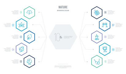nature concept business infographic design with 10 hexagon options. outline icons such as fertilize clinic, yucca, camping bonfire, pollen, american mountain ash, falcate