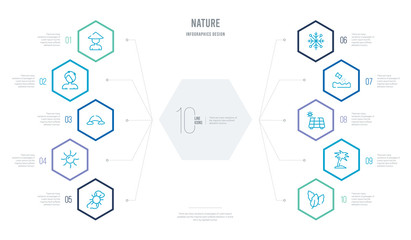 nature concept business infographic design with 10 hexagon options. outline icons such as dry leaf, coconut tree standing, solar, seeding, big snowflake, shining sun with rays