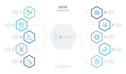 nature concept business infographic design with 10 hexagon options. outline icons such as human brian, planet with satellite, sol, reed bed, fences, grains