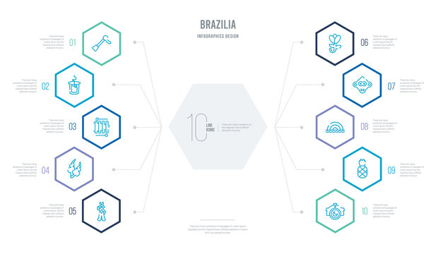 brazilia concept business infographic design with 10 hexagon options. outline icons such as photo camera, pineapple, rainbow, monkey, flower, feathers