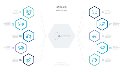 animals concept business infographic design with 10 hexagon options. outline icons such as hedgehog, lion, wolf, male sheep, bear, panda bear