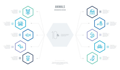 animals concept business infographic design with 10 hexagon options. outline icons such as albotros, octopus, seahorse, eel, medusa, pelican