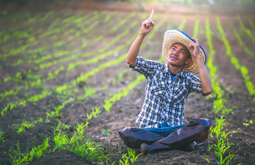 Obraz premium Young farmer sitting in corn field, looking up the weather forecast. agriculture concept.