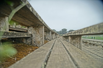 bleachers at golden gate park