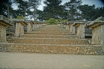 Fototapeta na wymiar stairs golden gate park