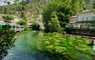 Fototapeta na wymiar River of brilliant green weeds at Fontaine-de-Vaucluse